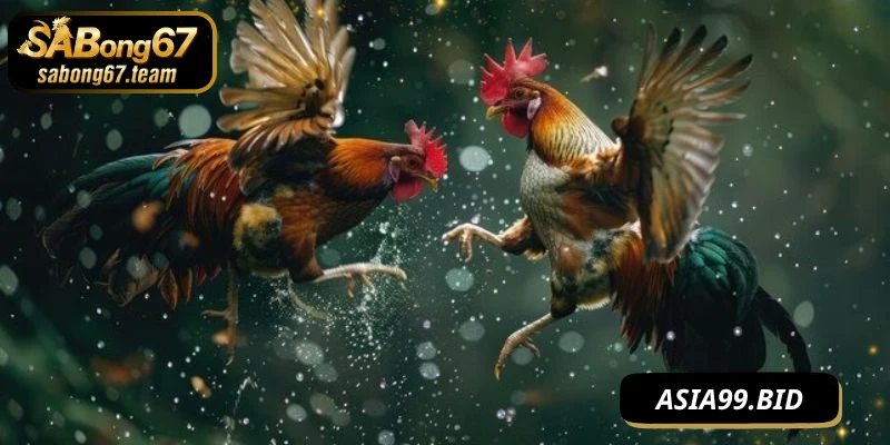Tầm quan trọng của kỹ thuật đánh không bị đỡ
