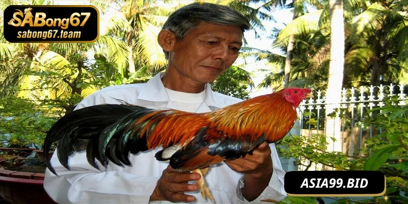 Lịch cho ăn và chăm sóc theo từng giai đoạn