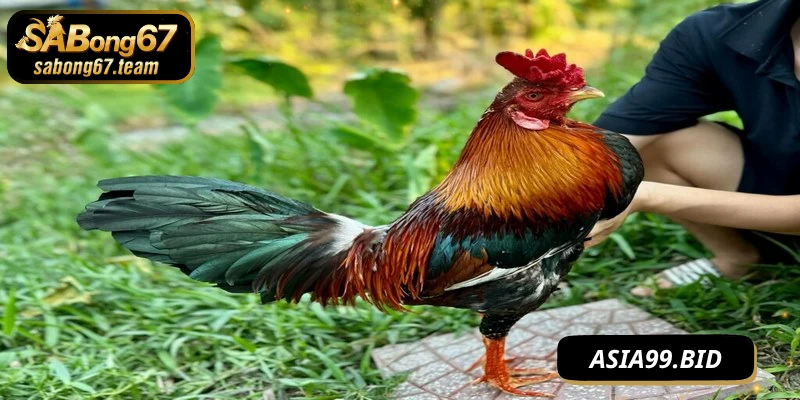 Tầm quan trọng giai đoạn phát triển đầu đời