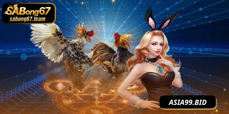 Vai trò lớn của đá gà bình luận viên