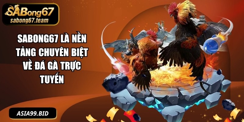SABONG67 là nền tảng chuyên biệt về đá gà trực tuyến