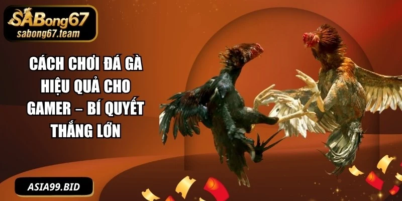 Cách Chơi Đá Gà Hiệu Quả