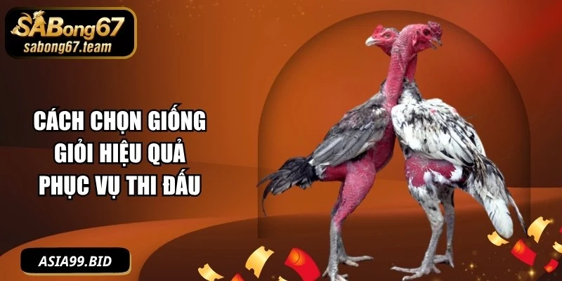 Cách Chọn Giống Giỏi