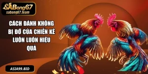 Cách Đánh Không Bị Đỡ