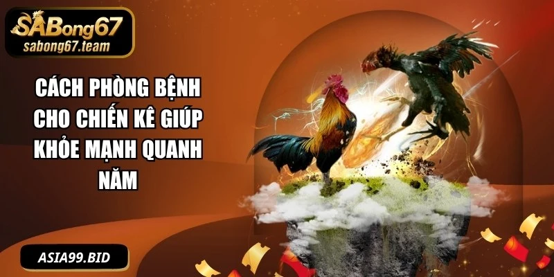 Cách Phòng Bệnh Cho Chiến Kê