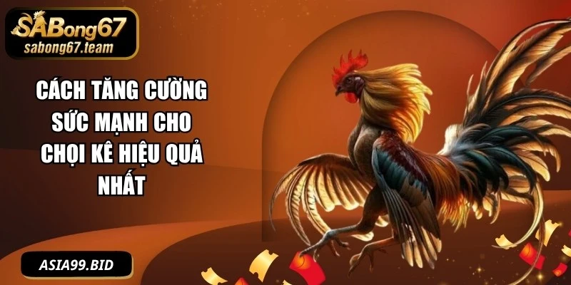 Cách Tăng Cường Sức Mạnh Cho Chọi Kê