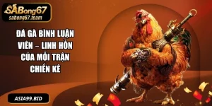 Đá Gà Bình Luận Viên