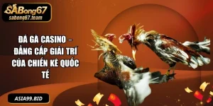 Đá Gà Casino