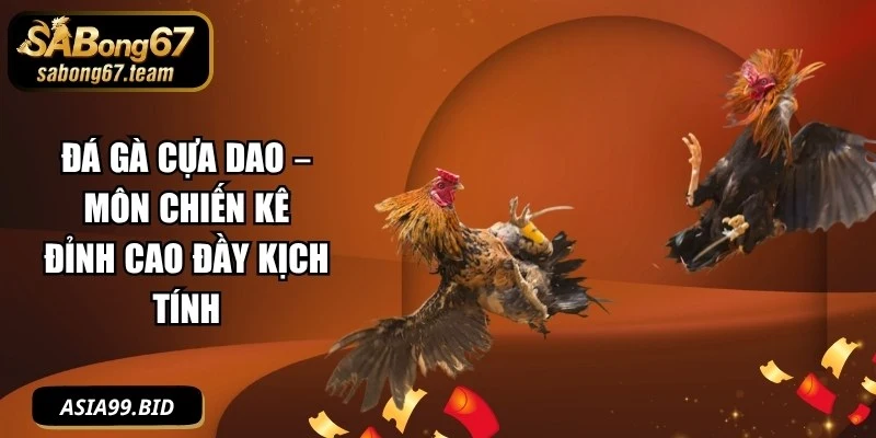 Đá Gà Cựa Dao