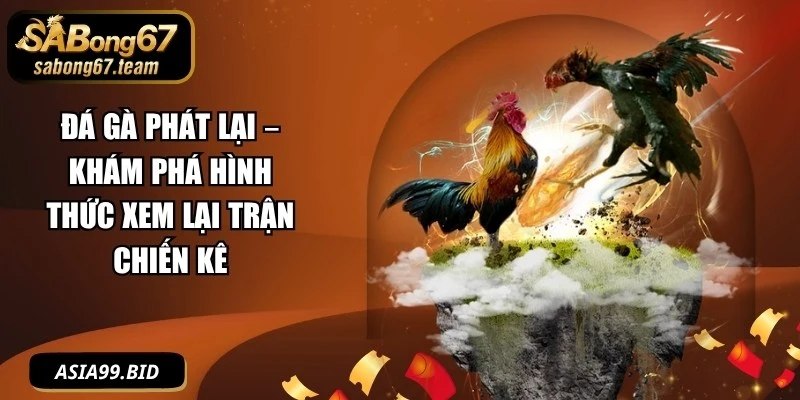 Đá Gà Phát Lại