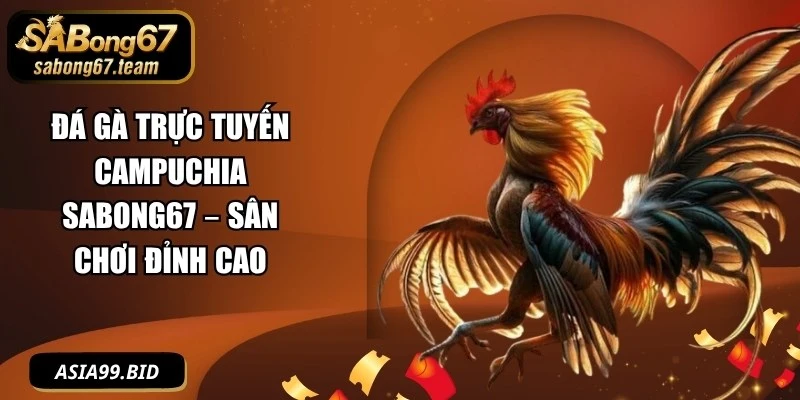 Đá Gà Trực Tuyến Campuchia