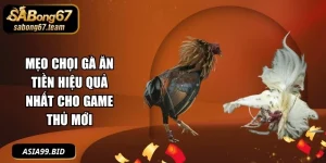 Mẹo Chọi Gà Ăn Tiền